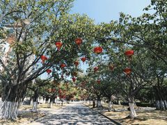 -厦门大学(思明校区)