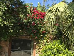 -厦门日月谷温泉渡假村