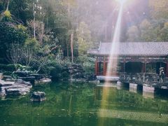 -深圳国际园林花卉博览园