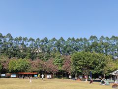 -火炉山森林公园