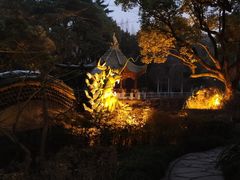 -申粤轩酒楼·三十年粤菜经典(丁香花园店)