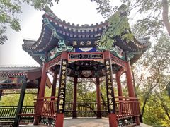 -北京市海淀外国语实验学校