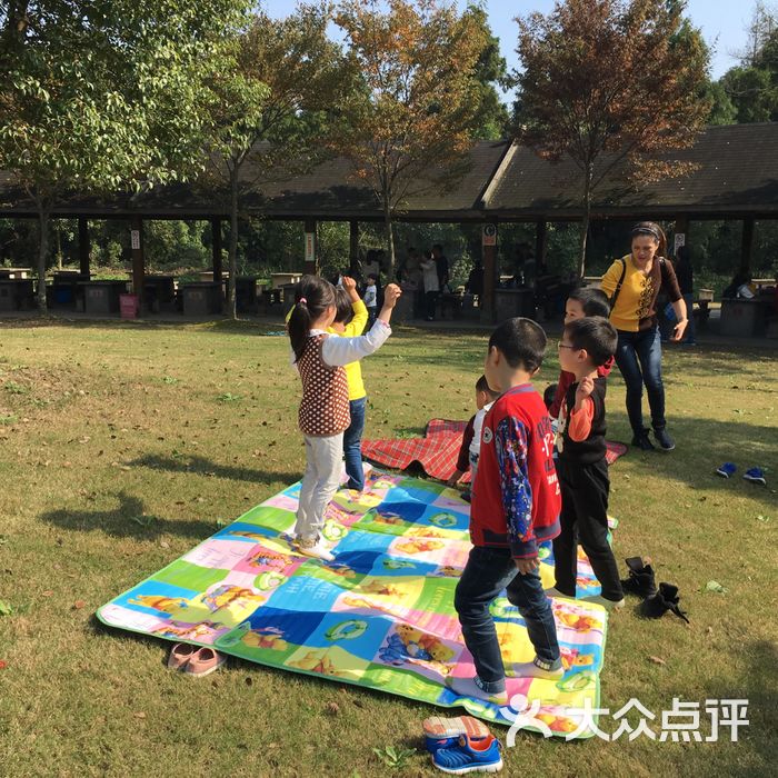 东平国家森林公园烧烤
