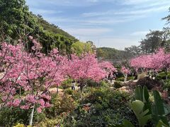 -狐尾山公园