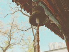 -护国法轮寺