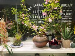-花十悦·鲜花咖啡餐厅(振业城一期店)