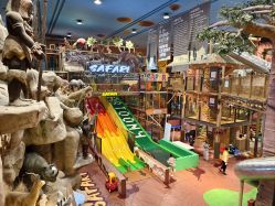 -卡通尼·Safari非洲探索乐园·生日会(金桥国际商业广场店)