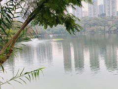 -重庆彩云湖湿地公园