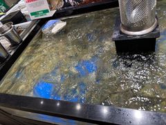 -亚马逊海鲜自助(梅溪湖步步高店)