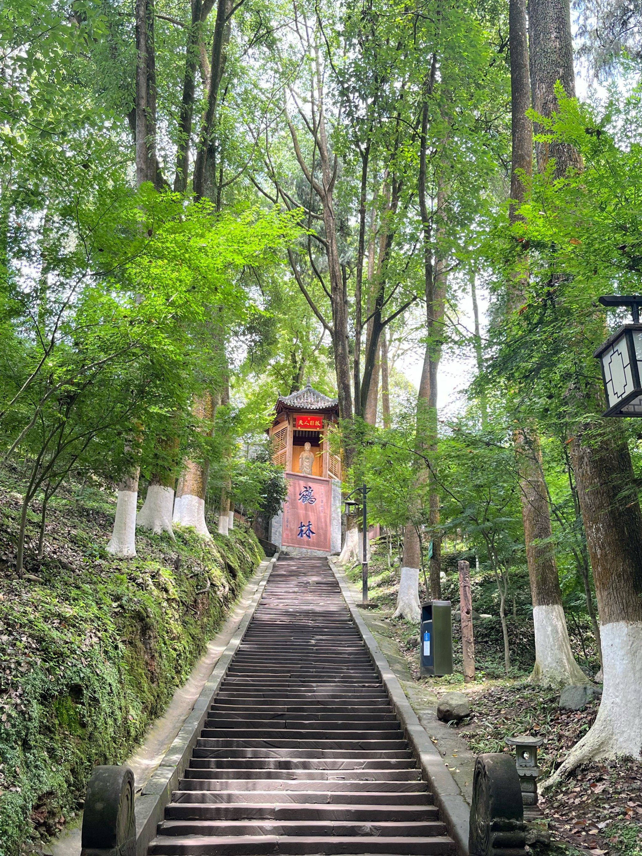 邛崃一日游
