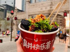黑色经典长沙臭豆腐-黑色经典臭豆腐·湖南特产(坡子街特产局店)