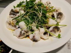 大罗非鱼二食-朱仔记食府(江南大道店)