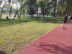 -咸阳湖景区-古渡公园