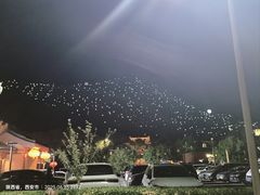 -大雁塔北广场音乐喷泉