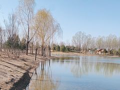 -东郊湿地公园