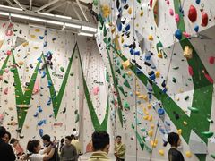 -绿壁虎攀岩基地(Tcar店)