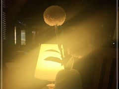 -宴悦海鲜餐厅·游水海鲜·牛排(亚龙湾瑞吉店)