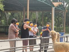 -秦皇岛野生动物园