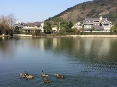 -杭州世外桃源君澜度假酒店