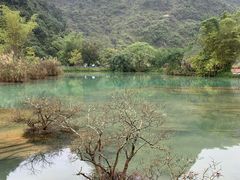 -靖西鹅泉风景区