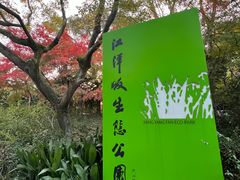 -西湖风景区-江洋畈生态公园