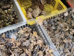 -坛南湾阿强农家乐.海鲜大排档老字号(福州地标美食店)