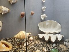 -烟台自然博物馆