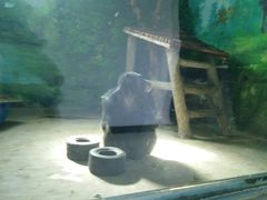 -临沂动植物园