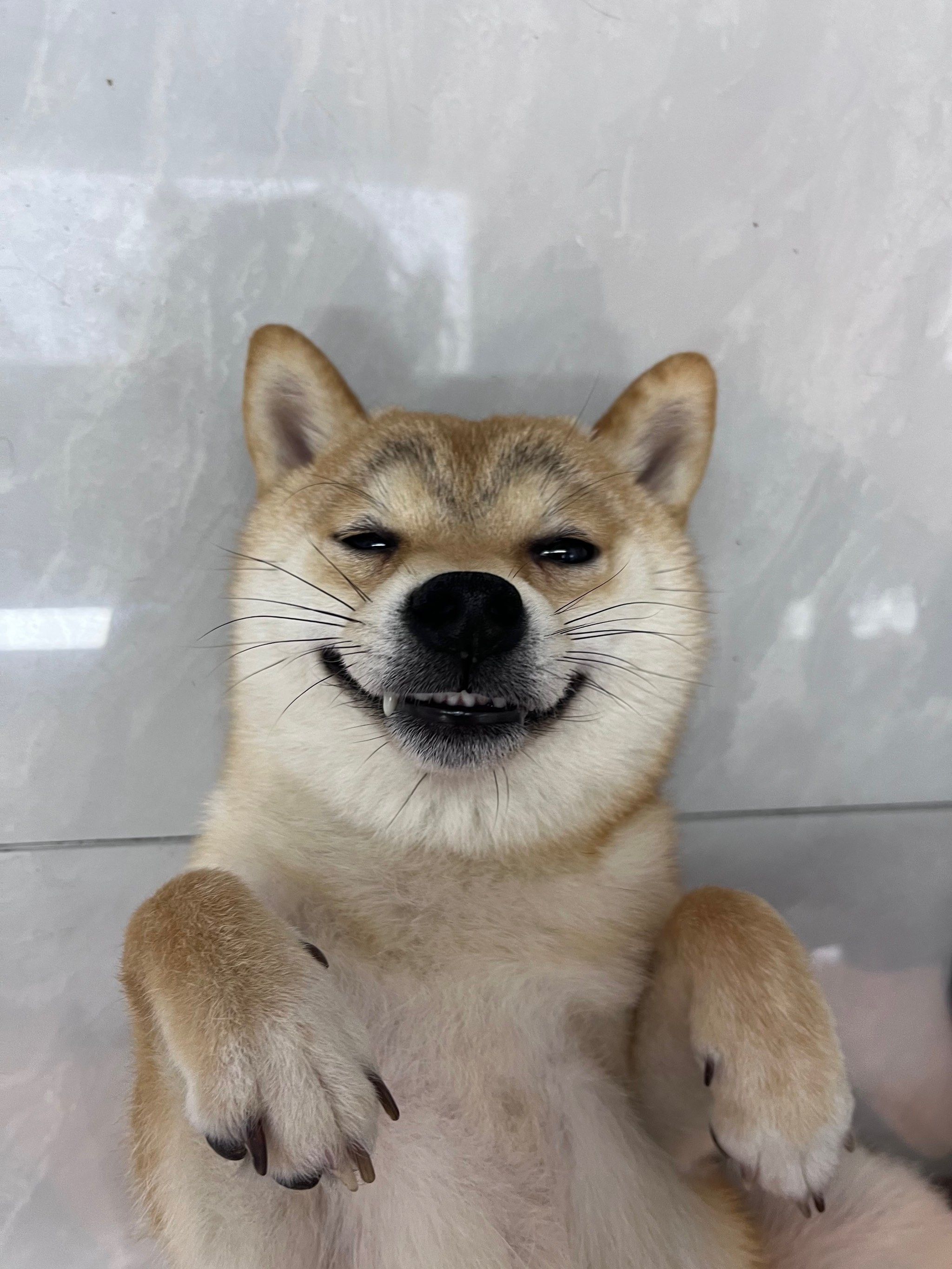 宝宝你笑的好猥琐