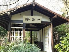 -中国茶叶博物馆(双峰馆区)