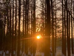 -艾溪湖湿地公园