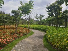 -广西壮族自治区药用植物园