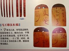 -长沙简牍博物馆