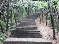 -紫金山山顶公园