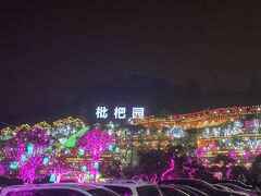 -枇杷园食为鲜火锅(南山店)