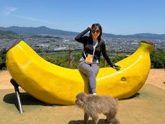 -岚山猴子公园