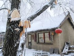 -雾凇岛