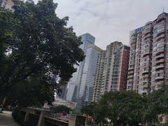 -红星兔丁(东风大桥店)