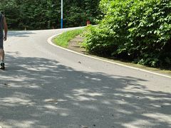 -火炉山森林公园