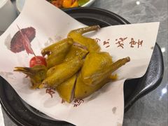 -朱记乳鸽王·非遗石岐乳鸽·全鸽宴(大兴旗舰店)