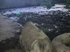 -无锡动物园·太湖欢乐园