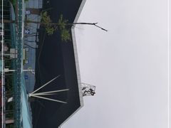 -张家界荷花国际机场