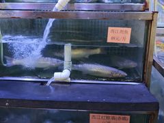 -八仔大富楼·河鲜(西江店)