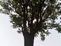 -北京明城墙遗址公园