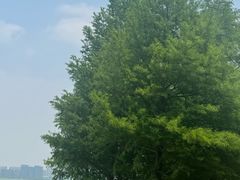 -苏州东太湖生态园