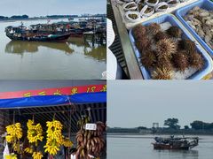 -大湾区中央湿地公园-十九涌