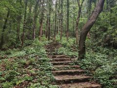 -句容茅山景区
