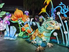 -海合安武汉极地海洋公园