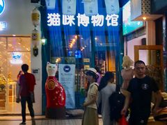 门面-猫咪博物馆(顶澳仔猫街店)