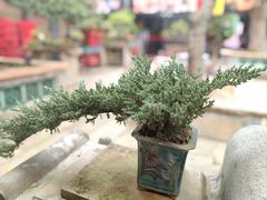 -味可道·黄圃人家园林酒家(兆丰店)